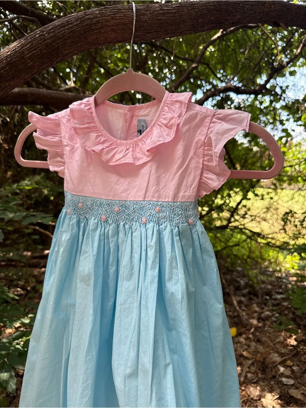 Girls Pink & Light Blue Smocked Ruffle Dress